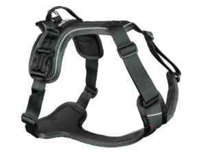 Non-Stop Dogwear