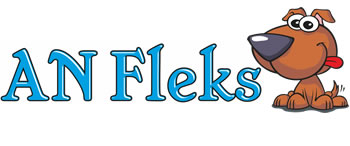 AN Fleks logo